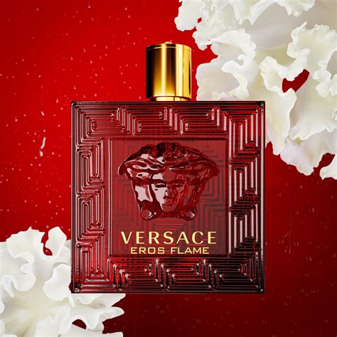 l'alico di versace
